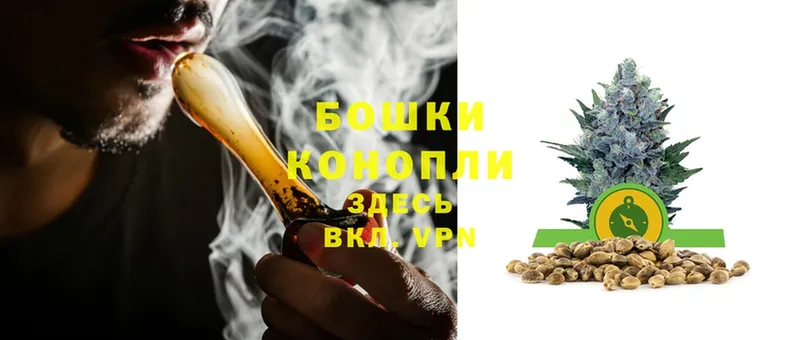 Конопля Bruce Banner  Агрыз 